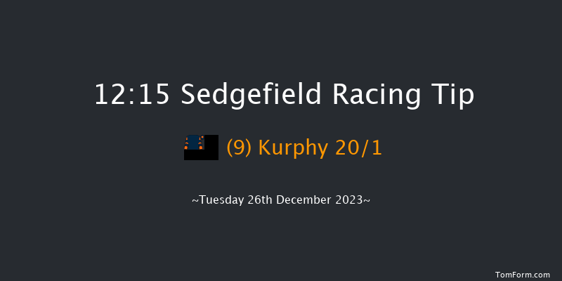 Sedgefield 12:15 Handicap Hurdle (Class 5) 20f Fri 8th Dec 2023