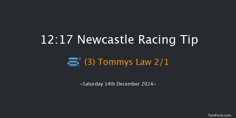 Newcastle  12:17 Maiden Hurdle (Class 4) 22f Thu 12th Dec 2024