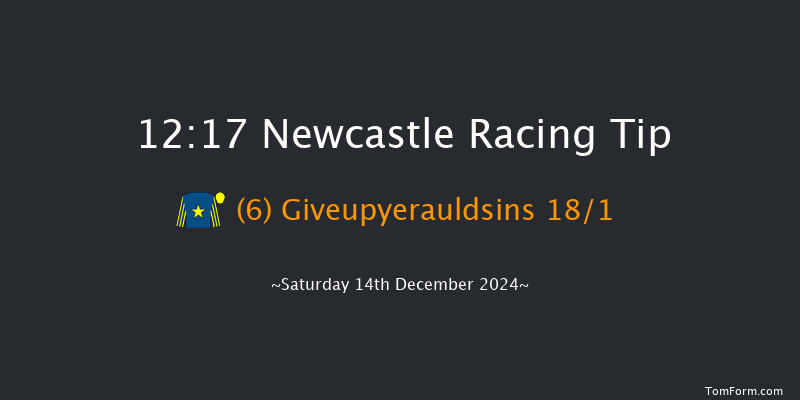 Newcastle  12:17 Maiden Hurdle (Class 4) 22f Thu 12th Dec 2024