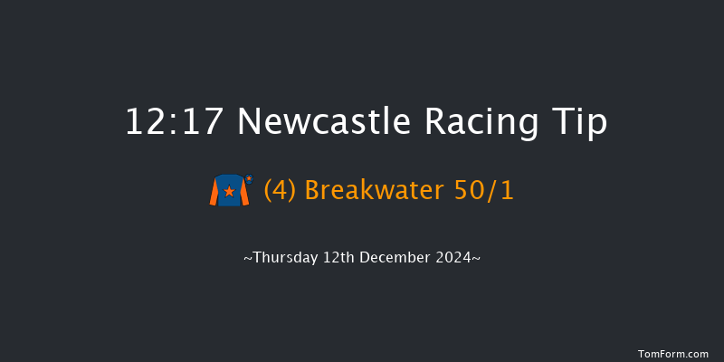 Newcastle  12:17 Stakes (Class 5) 10f Fri 6th Dec 2024