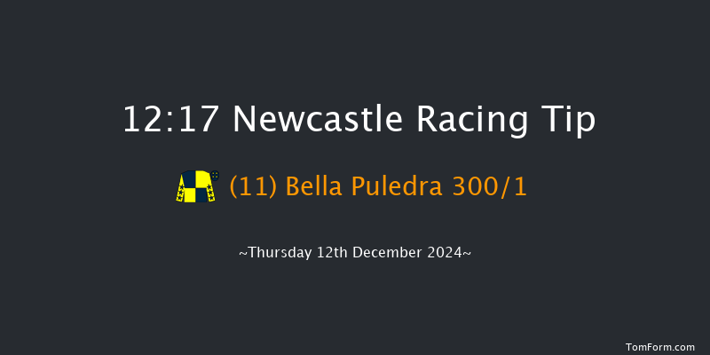 Newcastle  12:17 Stakes (Class 5) 10f Fri 6th Dec 2024