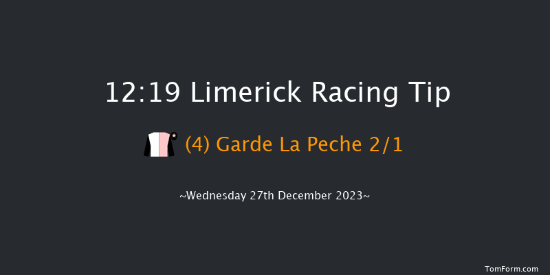 Limerick 12:19 Maiden Hurdle 20f Tue 26th Dec 2023