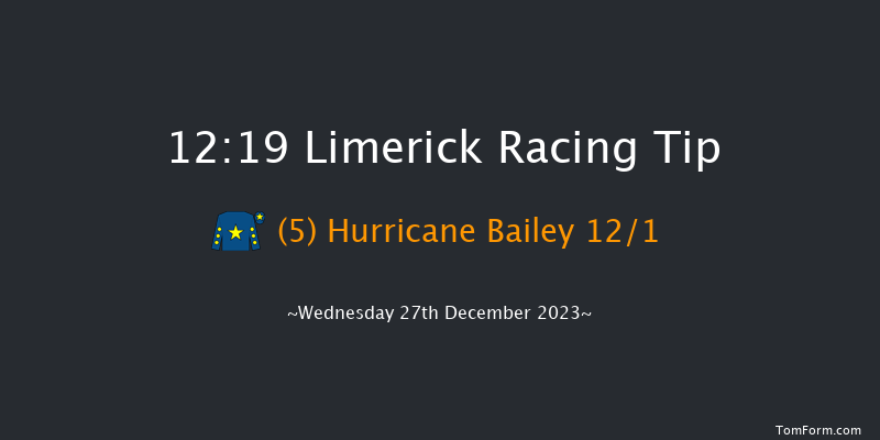 Limerick 12:19 Maiden Hurdle 20f Tue 26th Dec 2023