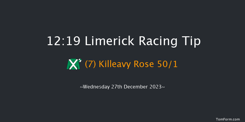 Limerick 12:19 Maiden Hurdle 20f Tue 26th Dec 2023