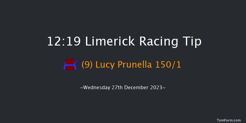 Limerick 12:19 Maiden Hurdle 20f Tue 26th Dec 2023