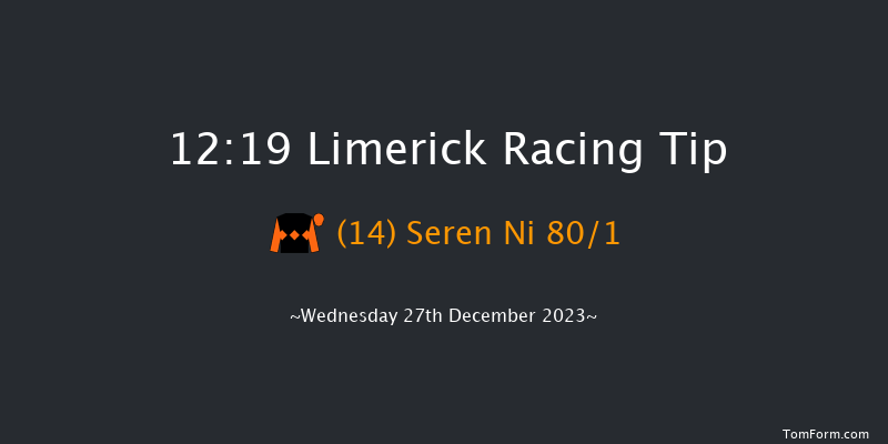 Limerick 12:19 Maiden Hurdle 20f Tue 26th Dec 2023