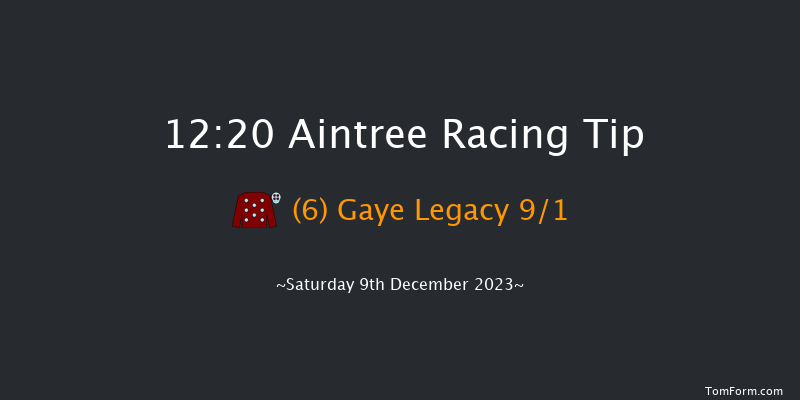 Aintree 12:20 Handicap Hurdle (Class 4) 25f Sat 11th Nov 2023