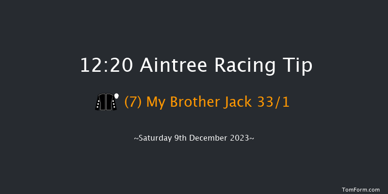 Aintree 12:20 Handicap Hurdle (Class 4) 25f Sat 11th Nov 2023