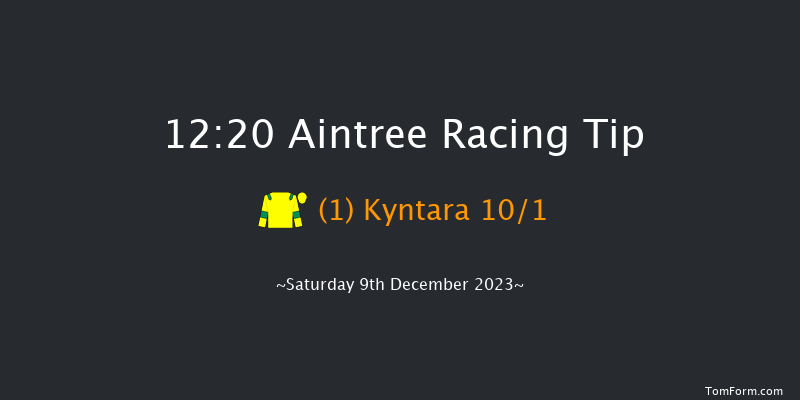 Aintree 12:20 Handicap Hurdle (Class 4) 25f Sat 11th Nov 2023