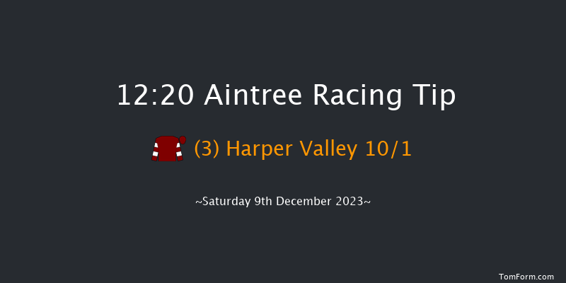 Aintree 12:20 Handicap Hurdle (Class 4) 25f Sat 11th Nov 2023