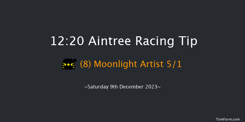 Aintree 12:20 Handicap Hurdle (Class 4) 25f Sat 11th Nov 2023