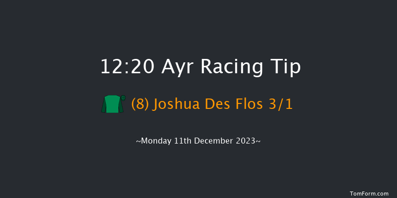 Ayr 12:20 Maiden Hurdle (Class 4) 16f Mon 4th Dec 2023