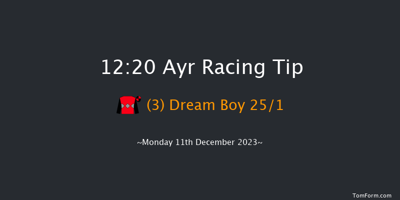 Ayr 12:20 Maiden Hurdle (Class 4) 16f Mon 4th Dec 2023