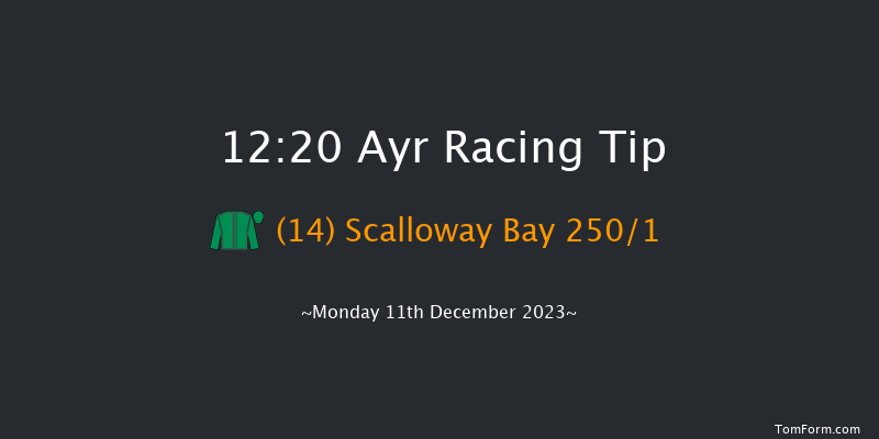 Ayr 12:20 Maiden Hurdle (Class 4) 16f Mon 4th Dec 2023