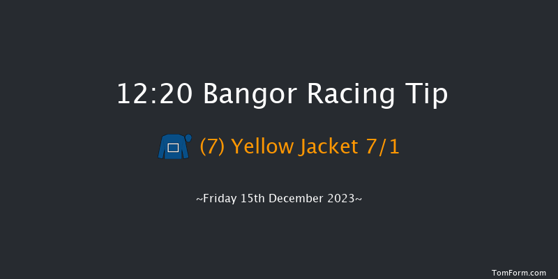 Bangor 12:20 Handicap Chase (Class 5) 17f Sat 2nd Dec 2023