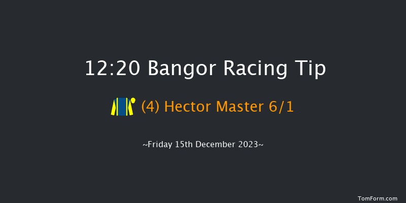 Bangor 12:20 Handicap Chase (Class 5) 17f Sat 2nd Dec 2023