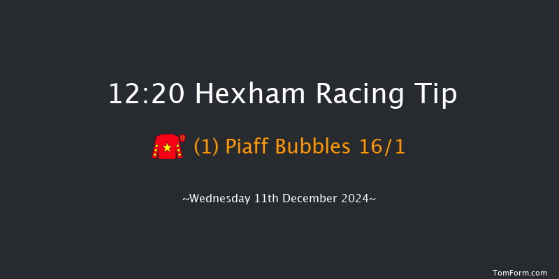 Hexham  12:20 Handicap Hurdle (Class 4) 20f Wed 20th Nov 2024