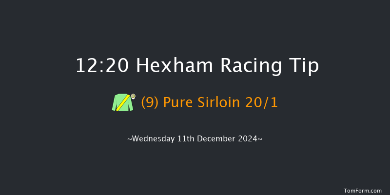 Hexham  12:20 Handicap Hurdle (Class 4) 20f Wed 20th Nov 2024