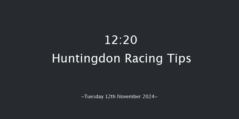 Huntingdon  12:20 Handicap Hurdle (Class 5) 21f Sun 3rd Nov 2024