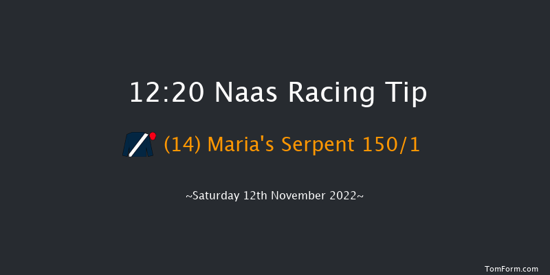 Naas 12:20 Maiden Hurdle 19f Sun 6th Nov 2022