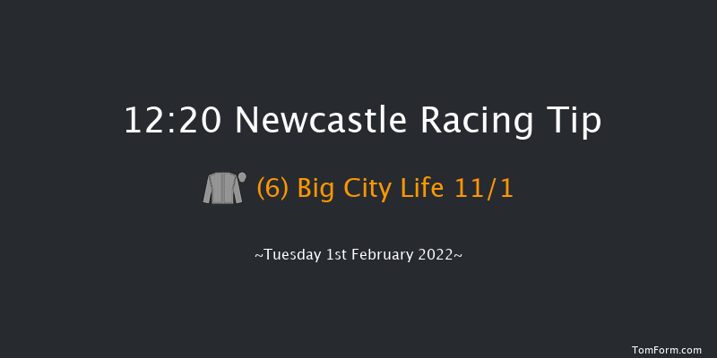 Newcastle 12:20 Stakes (Class 5) 16f Thu 27th Jan 2022