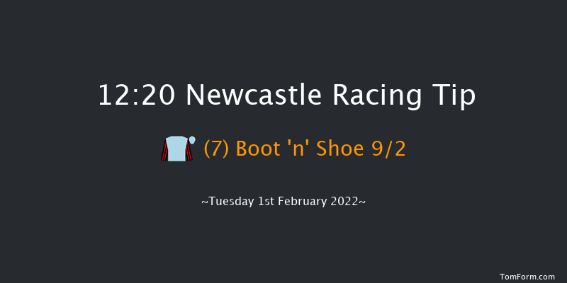 Newcastle 12:20 Stakes (Class 5) 16f Thu 27th Jan 2022