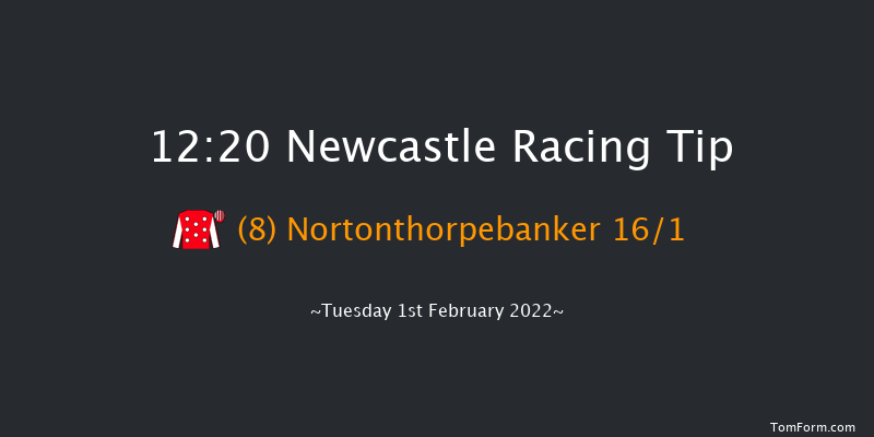 Newcastle 12:20 Stakes (Class 5) 16f Thu 27th Jan 2022