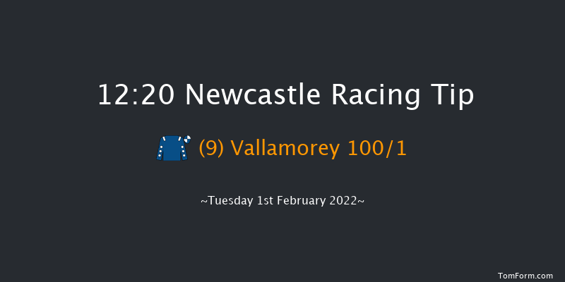 Newcastle 12:20 Stakes (Class 5) 16f Thu 27th Jan 2022