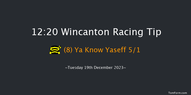 Wincanton 12:20 Handicap Chase (Class 5) 25f Tue 12th Dec 2023