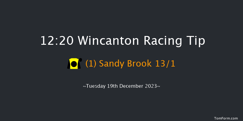 Wincanton 12:20 Handicap Chase (Class 5) 25f Tue 12th Dec 2023