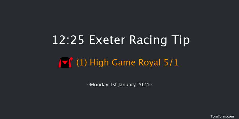 Exeter 12:25 Handicap Chase (Class 4) 19f Thu 21st Dec 2023