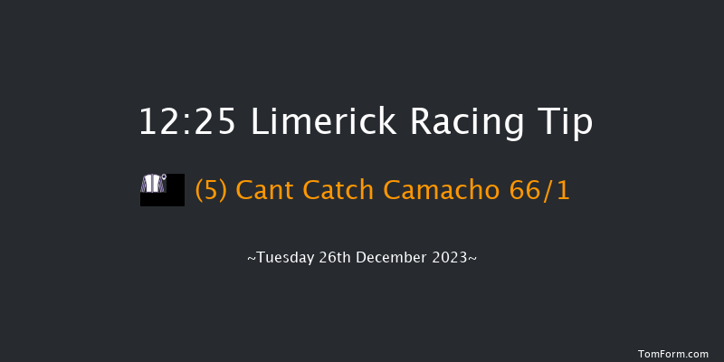 Limerick 12:25 Maiden Hurdle 16f Tue 21st Nov 2023