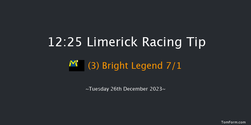 Limerick 12:25 Maiden Hurdle 16f Tue 21st Nov 2023