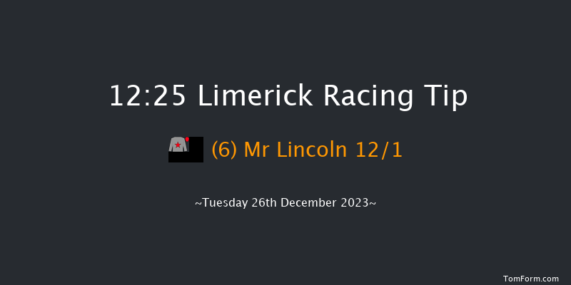 Limerick 12:25 Maiden Hurdle 16f Tue 21st Nov 2023