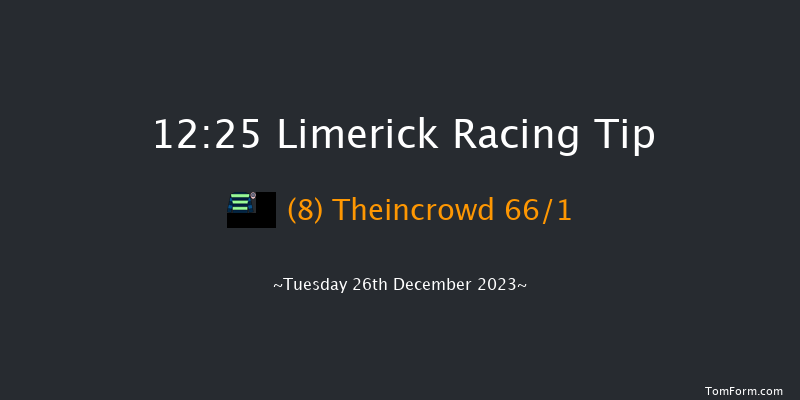 Limerick 12:25 Maiden Hurdle 16f Tue 21st Nov 2023