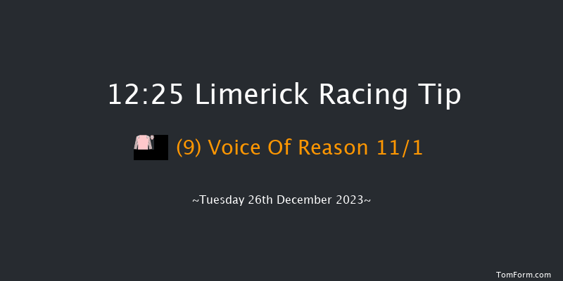 Limerick 12:25 Maiden Hurdle 16f Tue 21st Nov 2023