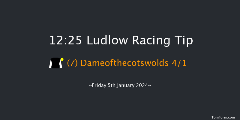 Ludlow 12:25 Conditions Hurdle (Class 4) 16f Wed 20th Dec 2023