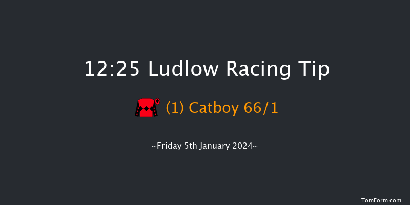 Ludlow 12:25 Conditions Hurdle (Class 4) 16f Wed 20th Dec 2023