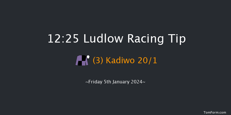 Ludlow 12:25 Conditions Hurdle (Class 4) 16f Wed 20th Dec 2023