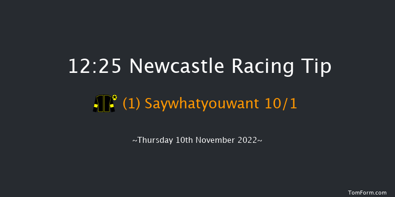 Newcastle 12:25 Handicap Hurdle (Class 5) 16f Fri 4th Nov 2022