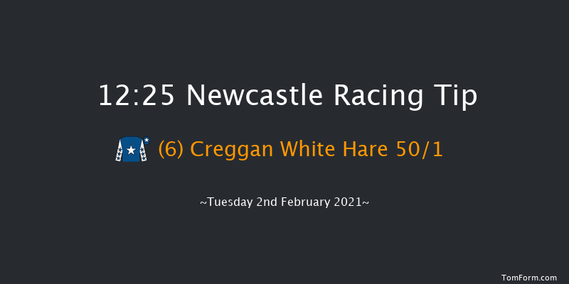 QuinnBet Standard Open NH Flat Race (GBB Race) Newcastle 12:25 Stakes (Class 5) 16f Thu 28th Jan 2021