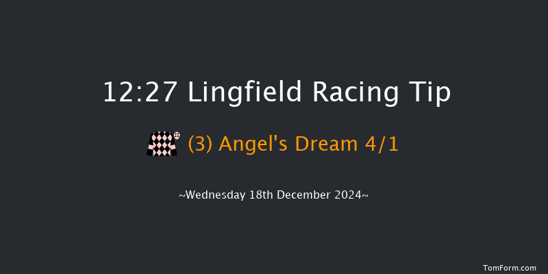 Lingfield  12:27 Handicap Chase (Class 5) 16f Wed 4th Dec 2024