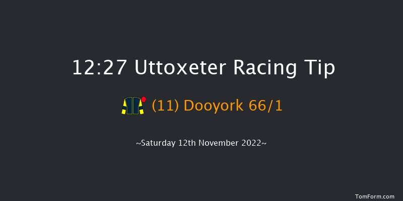 Uttoxeter 12:27 Maiden Hurdle (Class 4) 20f Fri 28th Oct 2022