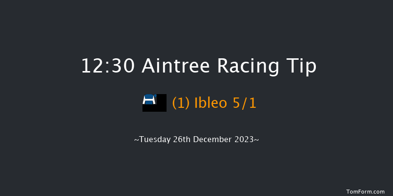 Aintree 12:30 Handicap Chase (Class 2) 20f Sat 9th Dec 2023