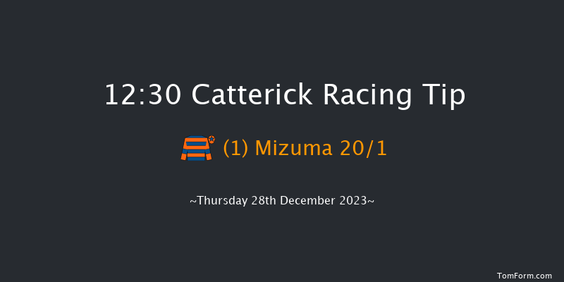 Catterick 12:30 Handicap Chase (Class 5) 19f Tue 19th Dec 2023