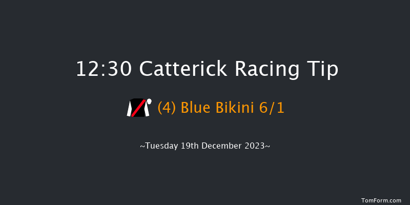 Catterick 12:30 Handicap Hurdle (Class 4) 25f Fri 24th Nov 2023