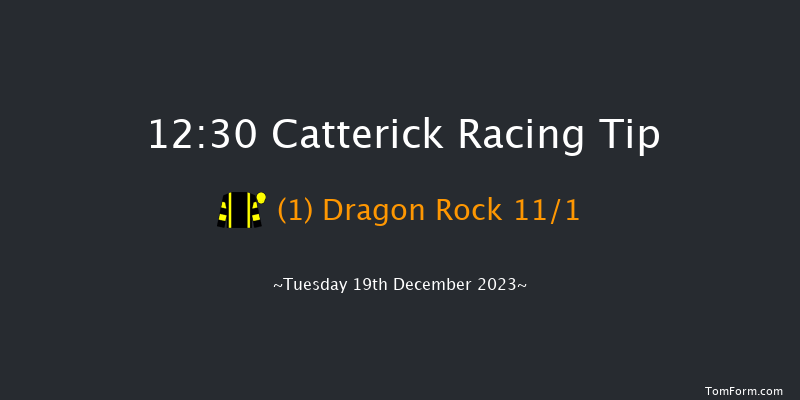 Catterick 12:30 Handicap Hurdle (Class 4) 25f Fri 24th Nov 2023