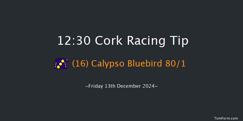 Cork  12:30 Maiden Hurdle 16f Sun 8th Dec 2024