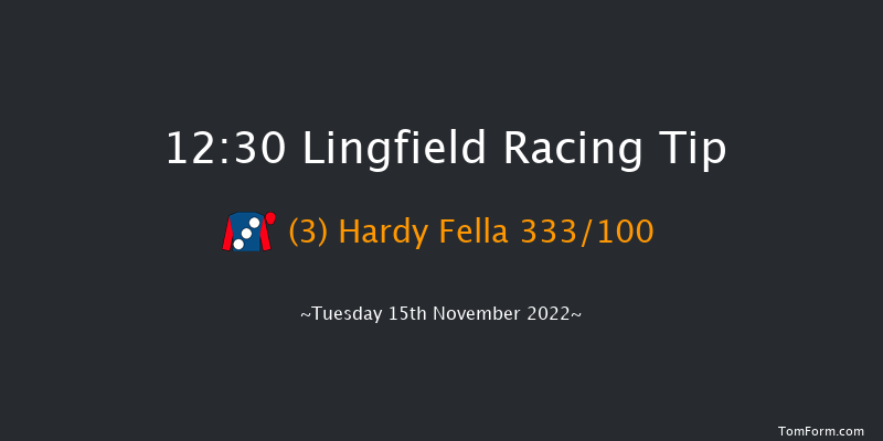 Lingfield 12:30  Maiden Hurdle (Class 4) 20f Sat 12th Nov 2022