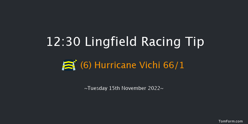 Lingfield 12:30  Maiden Hurdle (Class 4) 20f Sat 12th Nov 2022